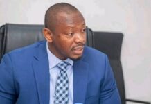 Guinée : aucune faute lourde retenue contre Mamadou Angelo Diallo