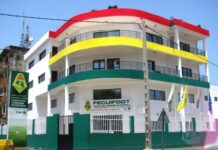 Guinée : au cœur d’un système de pressions et de manœuvres, l’ombre d’un nouveau scandale sécoue la Fédération de football